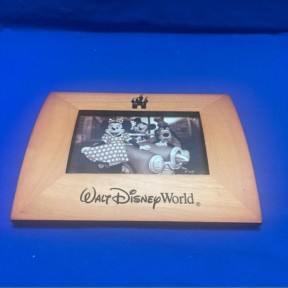 Walt Disney World Frame - Picture 2 of 9